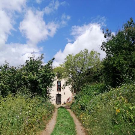 La Peonia Casa Vacanze In Montagna Prato Verde Panorama Stupendo Sardegna Seùlo Kültér fotó