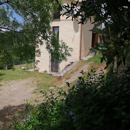 La Peonia Casa Vacanze In Montagna Prato Verde Panorama Stupendo Sardegna Seùlo Kültér fotó