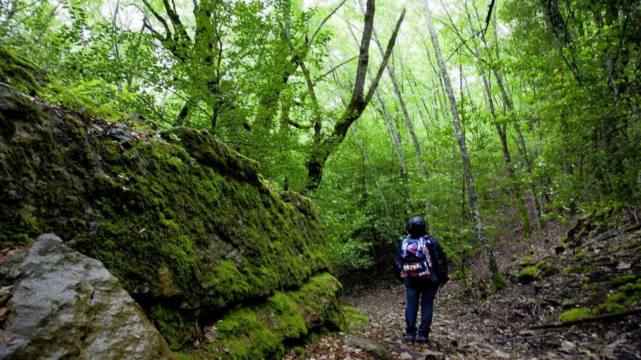 La Peonia Casa Vacanze In Montagna Prato Verde Panorama Stupendo Sardegna Seùlo Kültér fotó