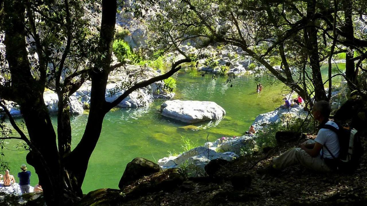 La Peonia Casa Vacanze In Montagna Prato Verde Panorama Stupendo Sardegna Seùlo Kültér fotó