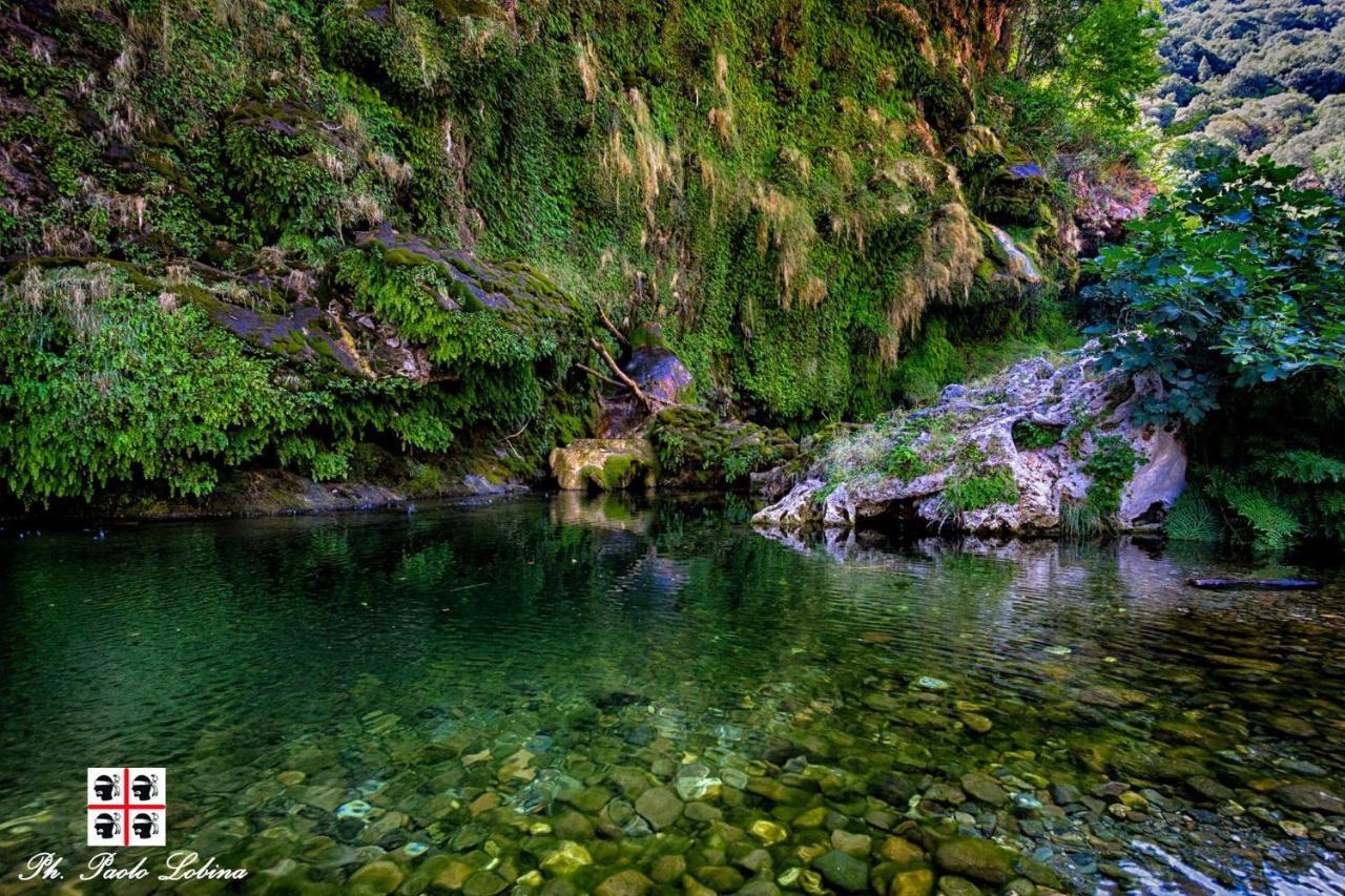 La Peonia Casa Vacanze In Montagna Prato Verde Panorama Stupendo Sardegna Seùlo Kültér fotó